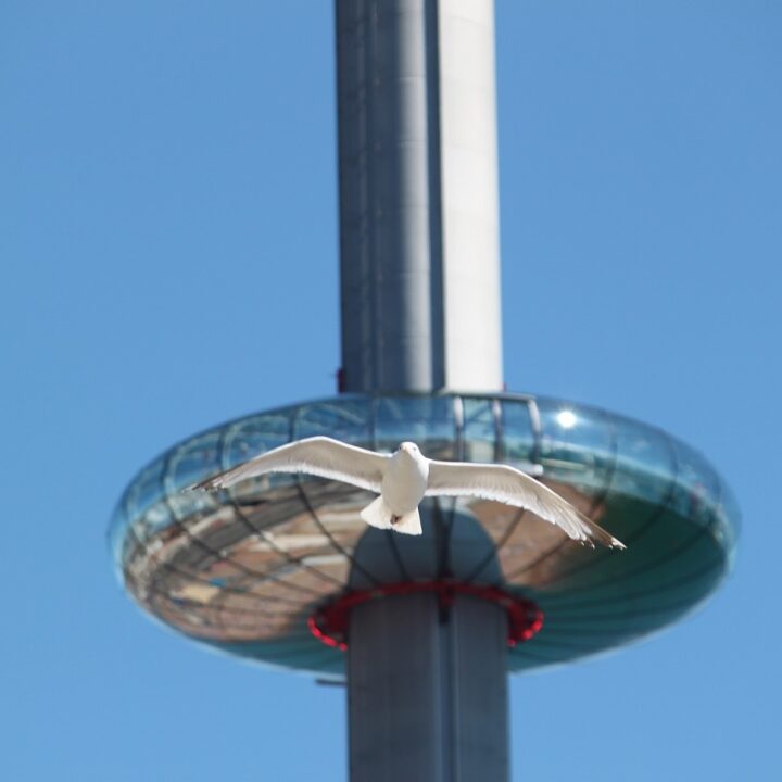 Brighton i360
