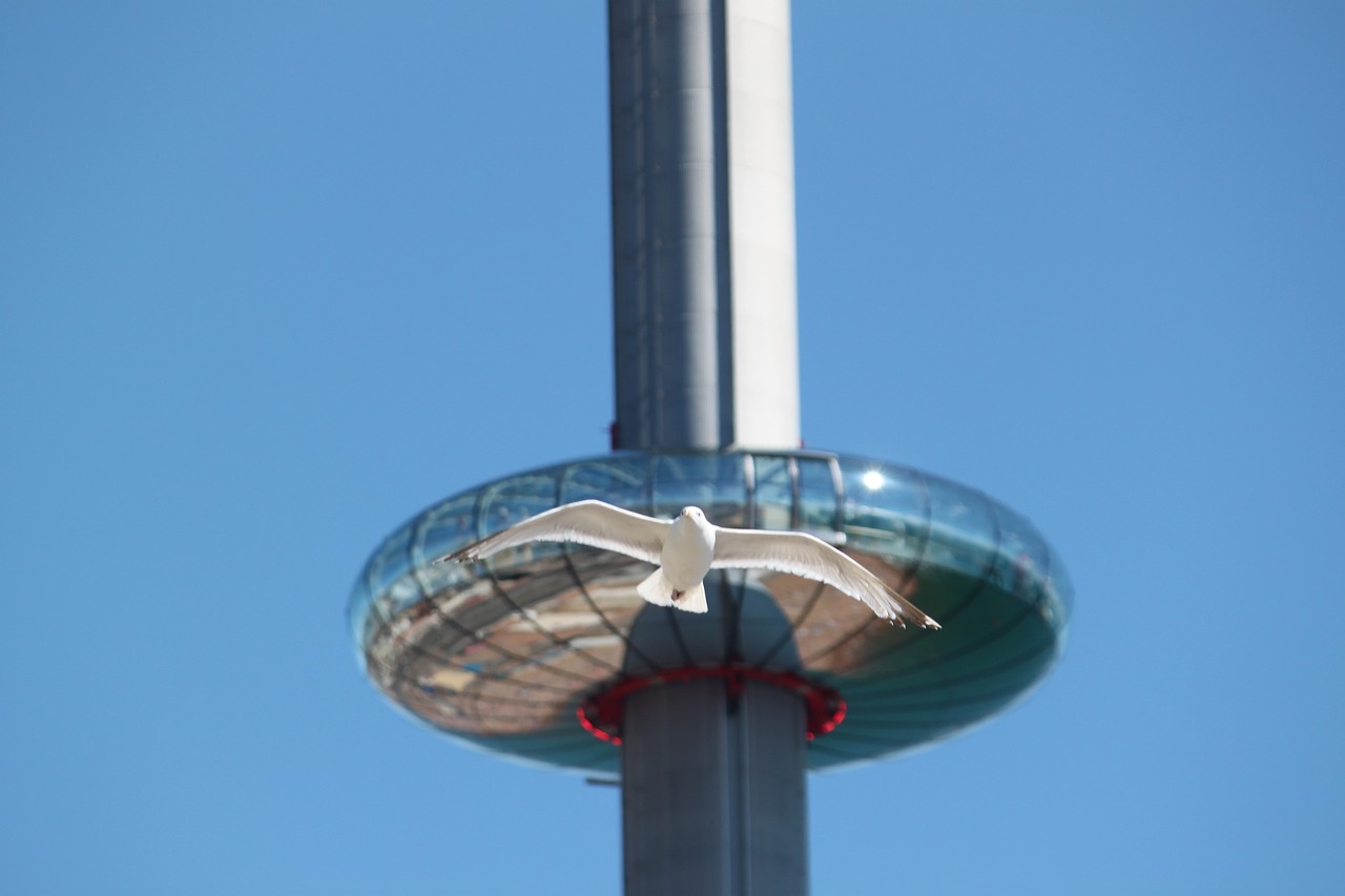 Brighton i360