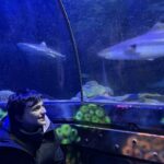 sea life brighton