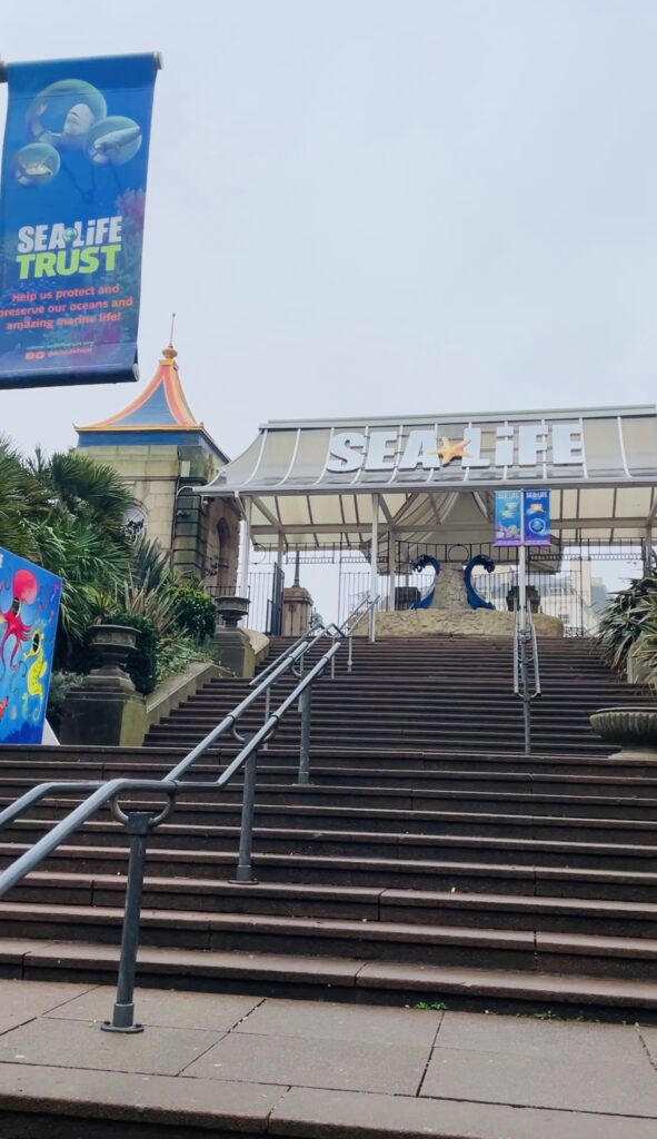 sea life brighton