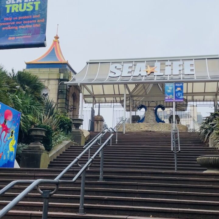 sea life brighton